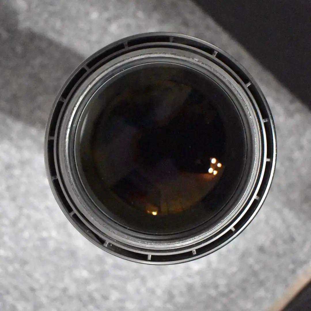 SIGMA 150-600mm F5-6.3 Nikon F-FXマウント