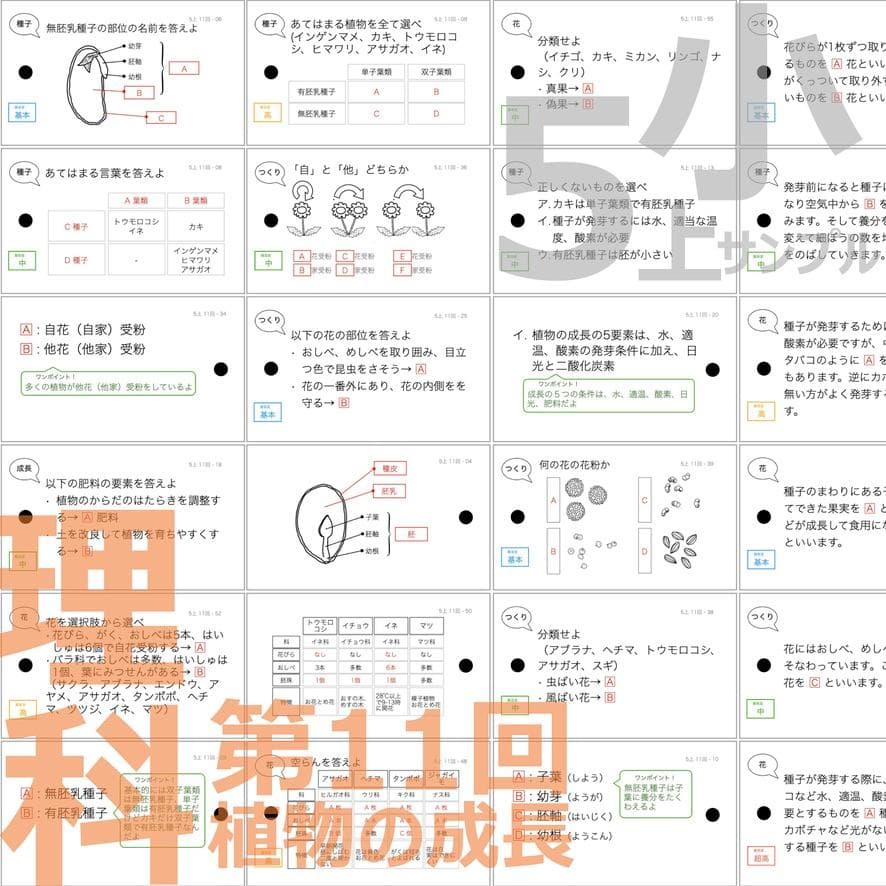 中学受験【5年上 理科 全セット 1-19回】組分けテスト対策 予習シリーズ