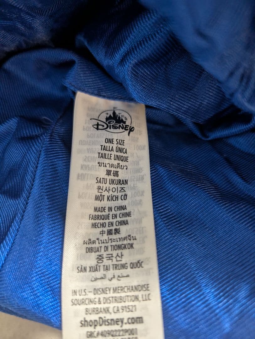 ディズニーランド　パリ　限定品　30周年ファンタジア ミッキー 光る帽子