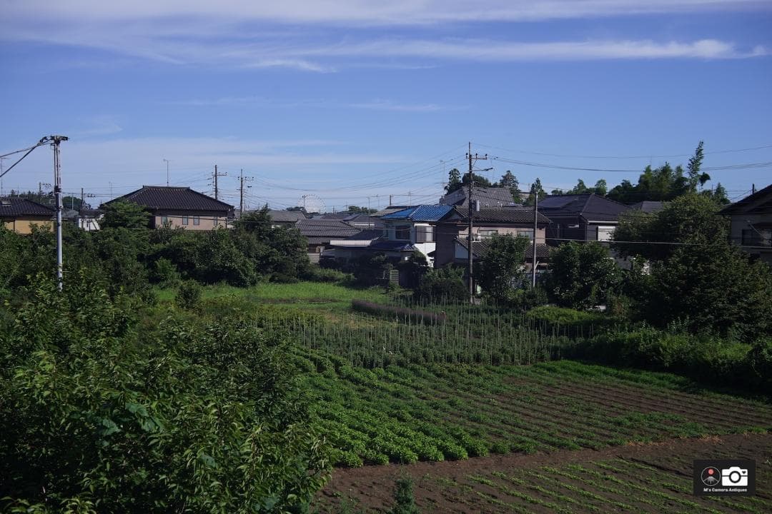 希少Canon SERENAR 5cm F/3.5 Ｌ３９ MIOJ 整備済