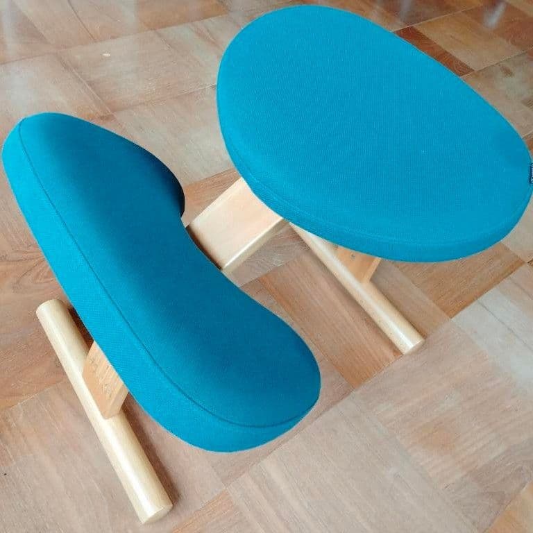 サカモトハウス BALANS EASY バランスイージー ネイビー