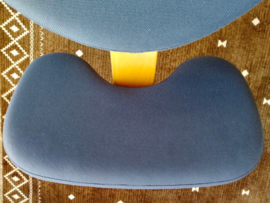 サカモトハウス BALANS EASY バランスイージー ネイビー