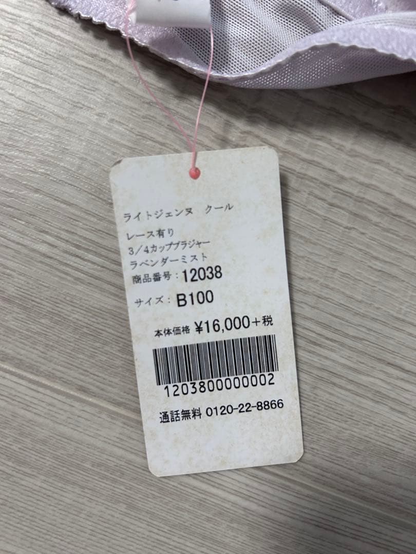 ダイアナ　薄紫 刺繍デザイン B100ブラジャー