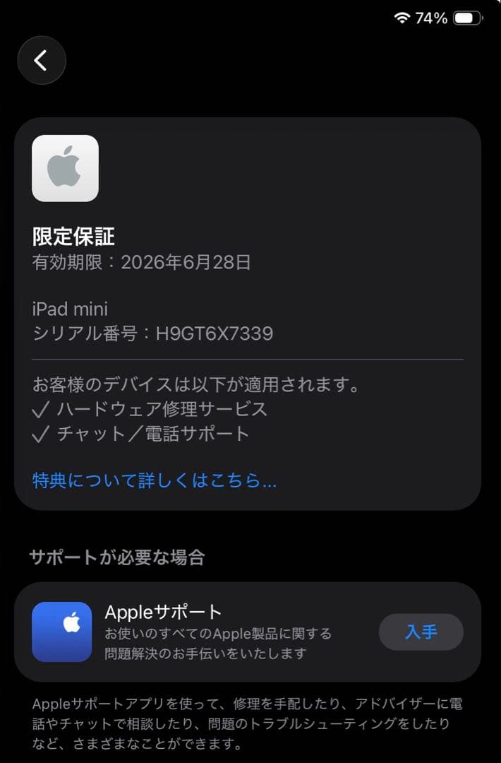 iPad mini (A17 Pro)128GB 限定保証6/28 充放電31回