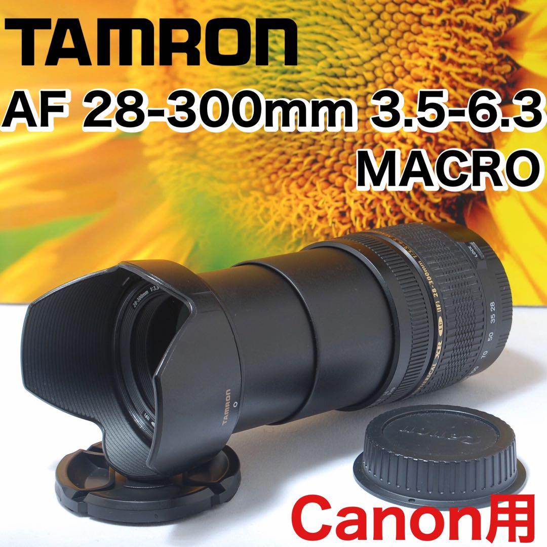 タムロン 28-300mm Canon用 超望遠 高倍率ズームレンズ マクロ機能
