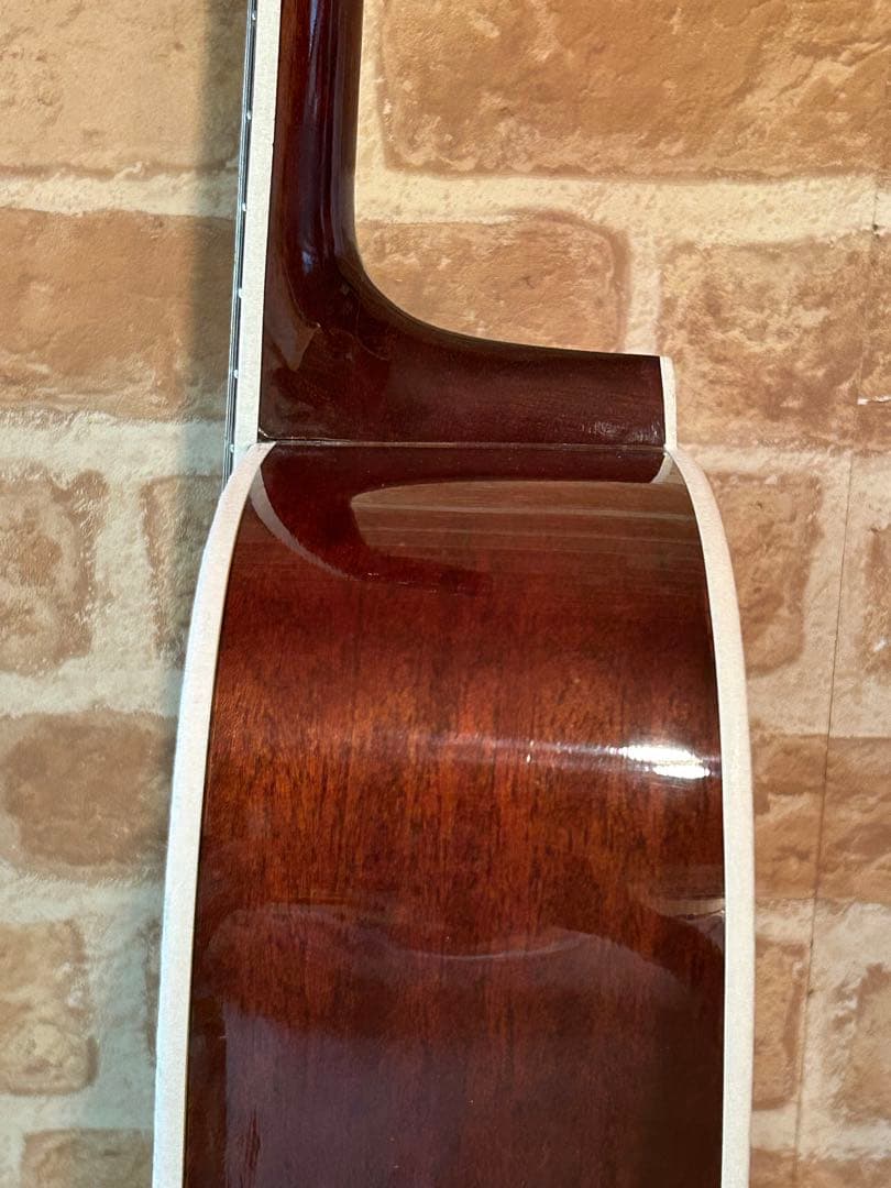 タカミネTD-27(豆しばバージョン)