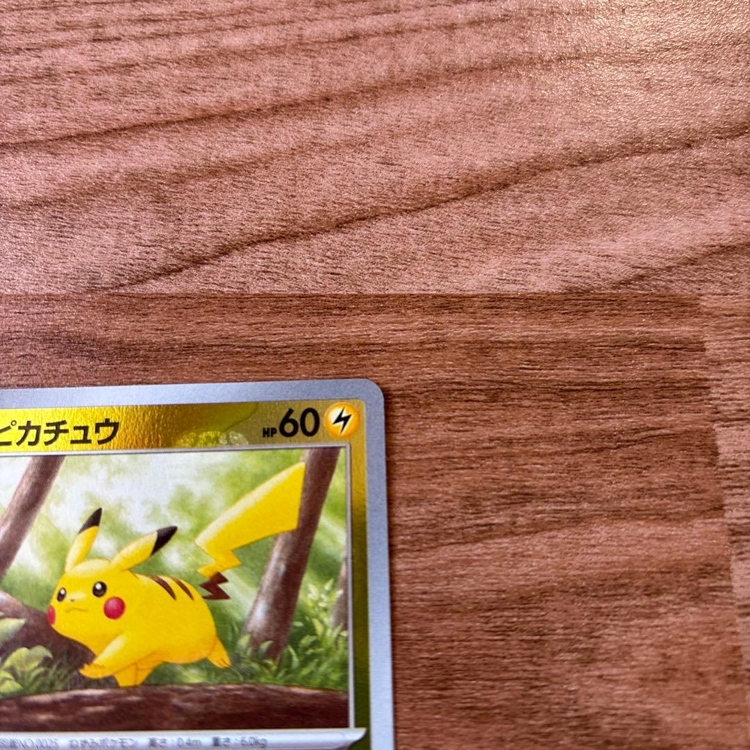 ピカチュウ マスターボールミラー 151