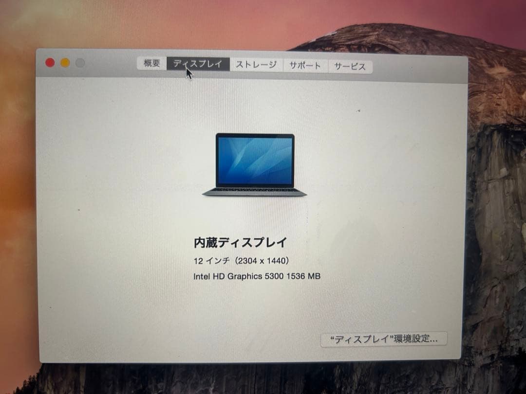 MacBook 2015 12インチ ジャンク