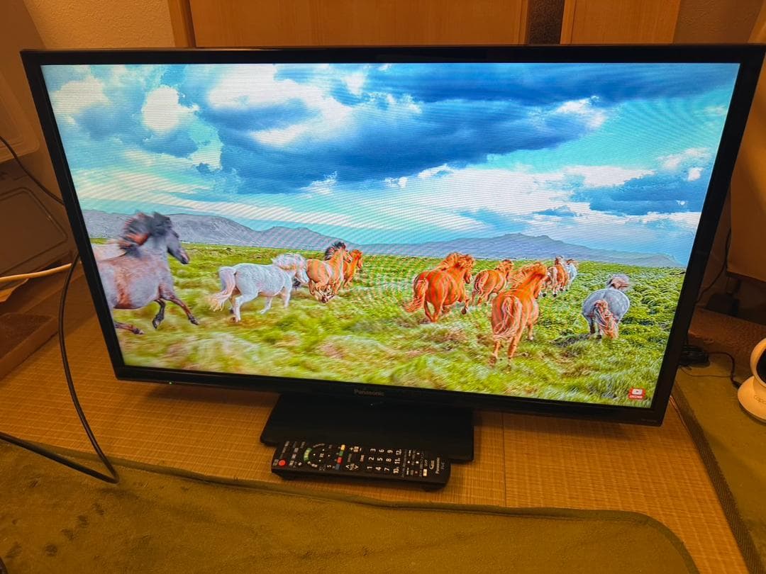 Panasonic　パナソニック 32型 テレビ TH-32G300 映り綺麗！