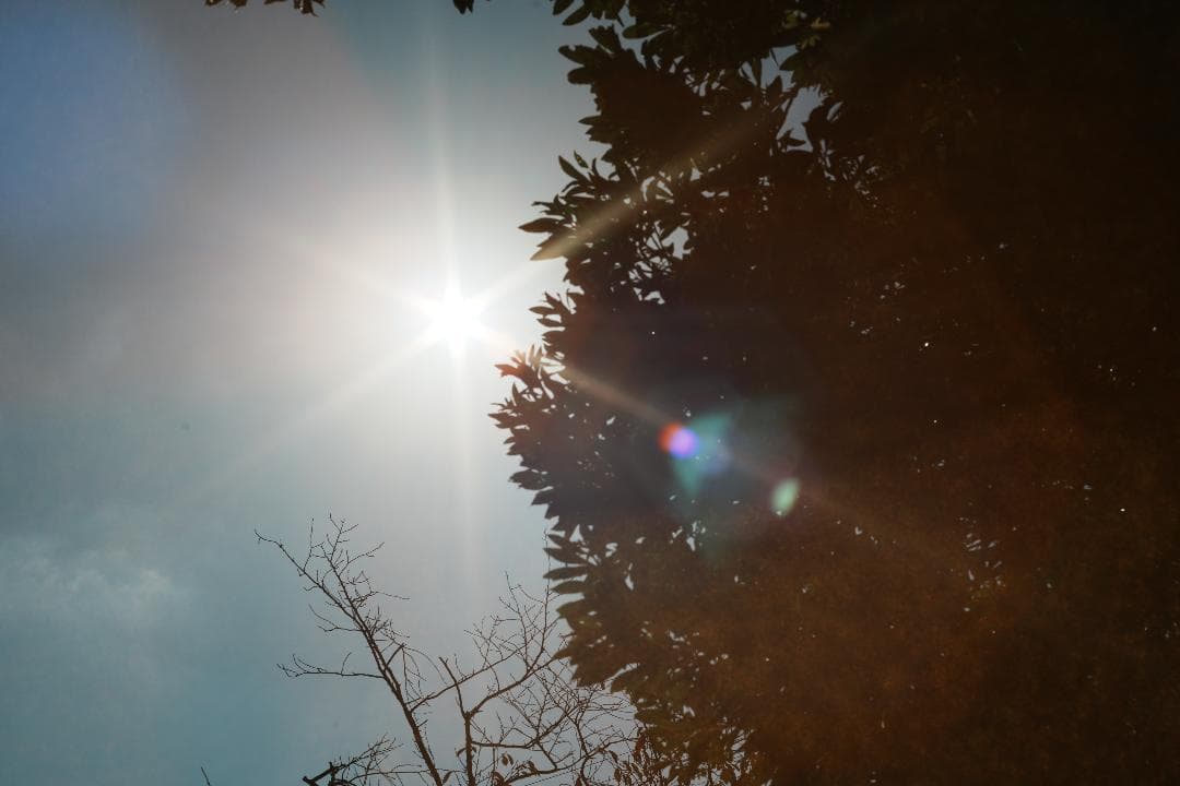 オールドレンズはここから Super Takumar 55mm F1.8 998