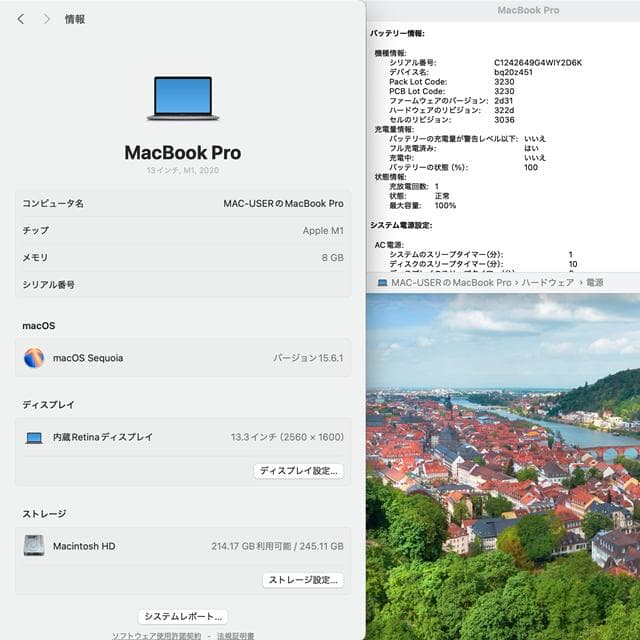 【美品】MacBook Pro 13_2020 M1/8GB/256GB_SPG