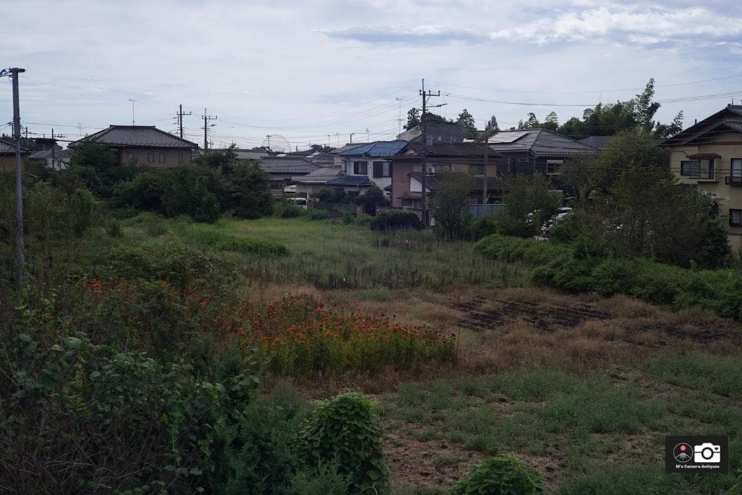 Canon 50mm F/1.8 I ライカＬ３９レンズ, フィルター付整備済