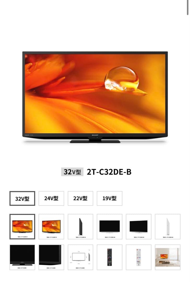 テレビ　SHARP AQUOS 2T-C32DE