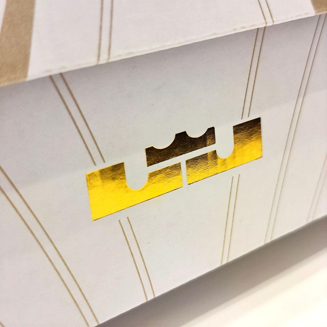 24時間内発送【未使用新品】NIKE レブロン21 Tahitian 23.0