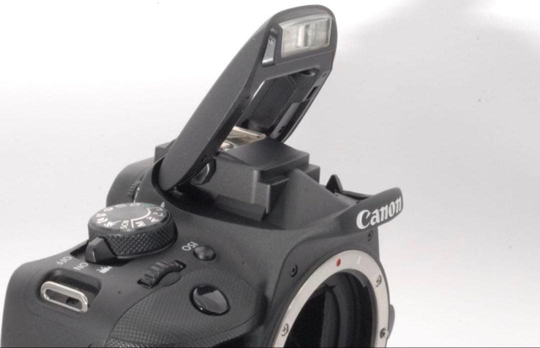 ✨おまけレンズ付き✨Canon kiss X7 軽量 初心者おすすめ 動画撮影も