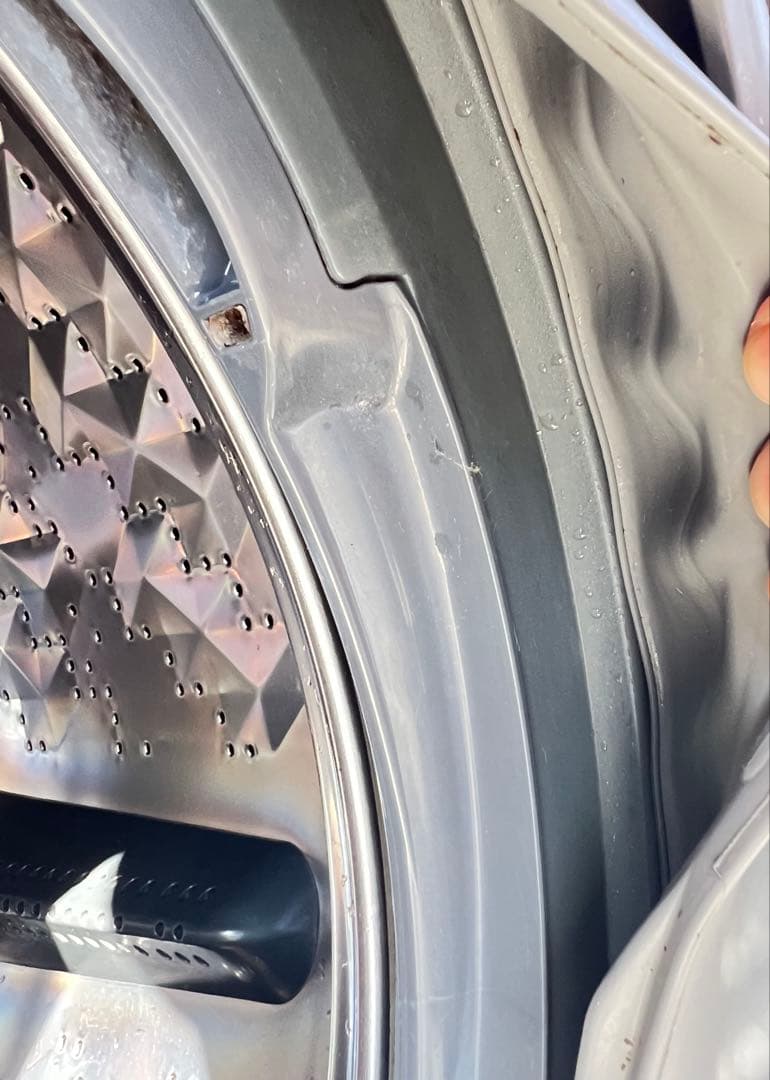 Panasonic ドラム式洗濯機 本体NA-VX9600L 2016年