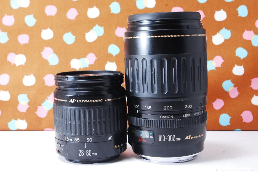 ✨ショット数1993回✨美品✨Canon Kiss X3 ダブルレンズセット