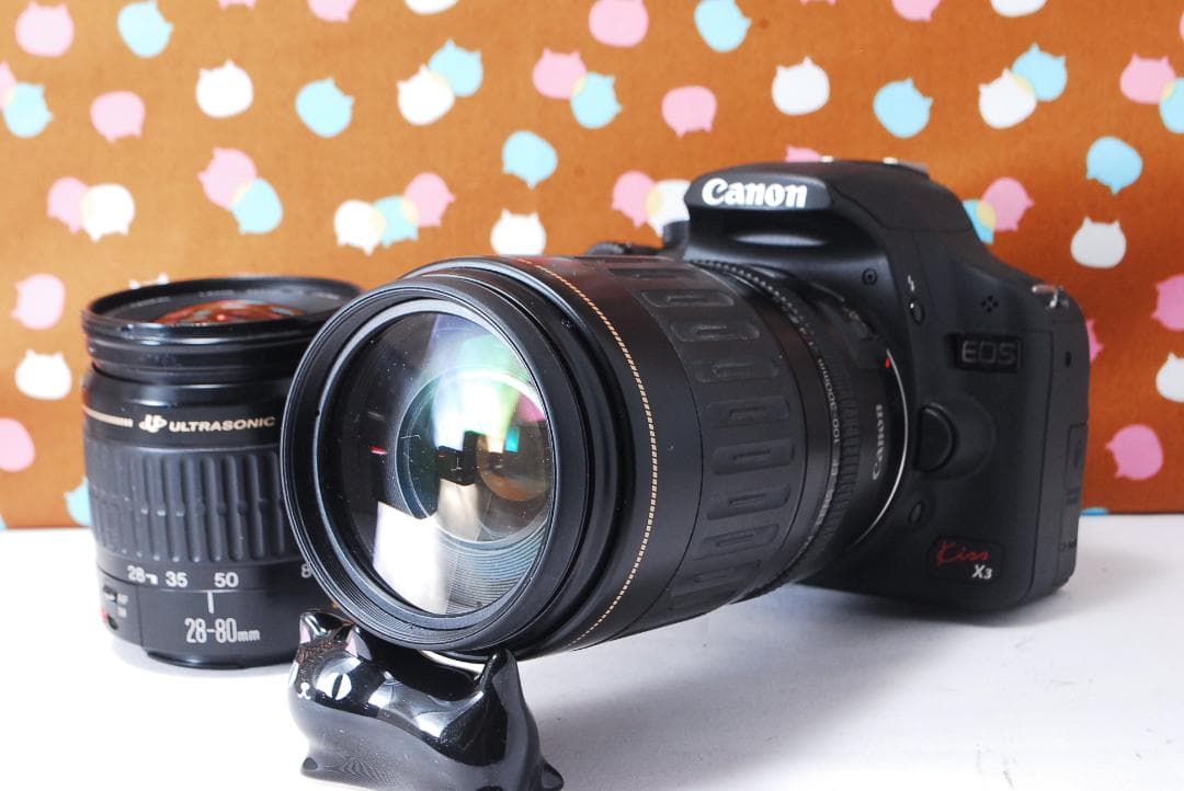 ✨ショット数1993回✨美品✨Canon Kiss X3 ダブルレンズセット
