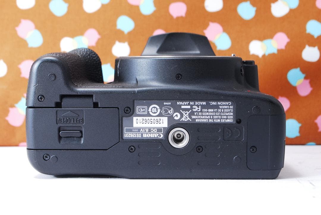 ✨ショット数1993回✨美品✨Canon Kiss X3 ダブルレンズセット