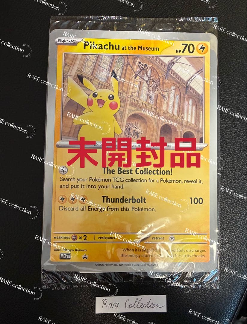 Pikachu at the Museum ピカチュウ ロンドン自然史博物館➓
