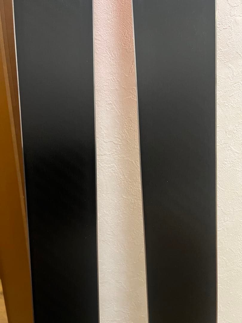 ROSSIGNOL スキー板 FIS GS 193 R30