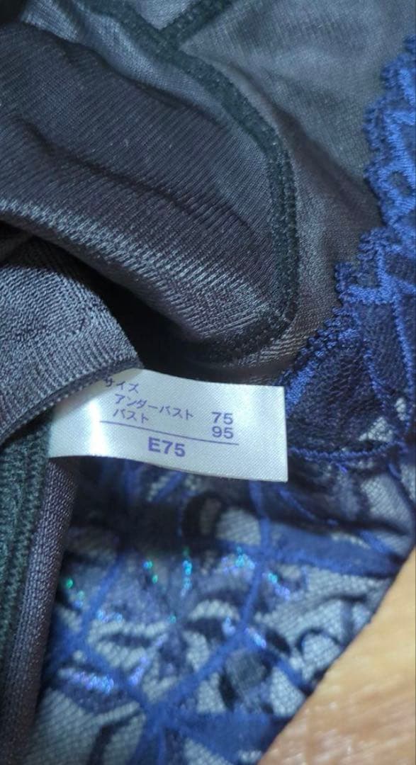 MARUKO マルコ カーヴィシャス ロングブラジャー　E75