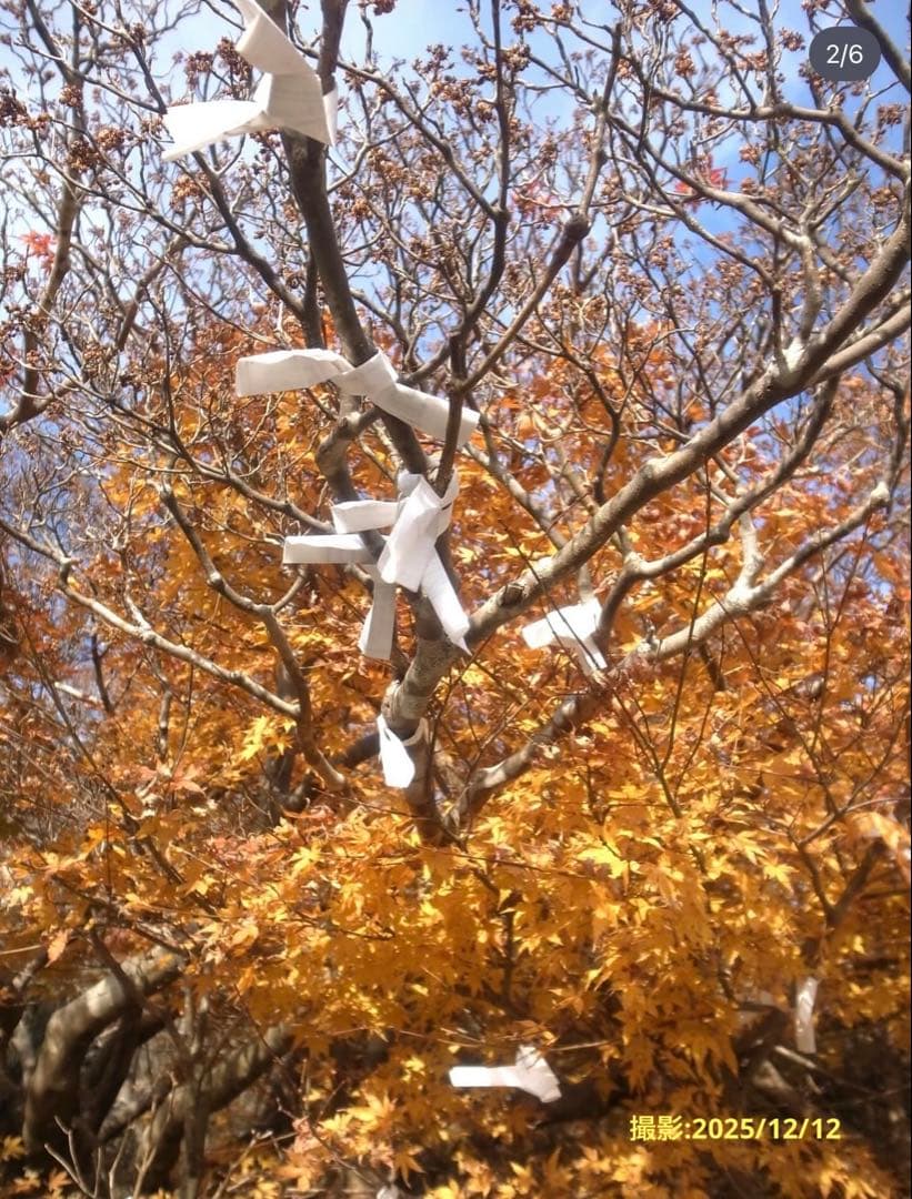 RICOH GR DIGITAL Ⅲ 値下げしました！