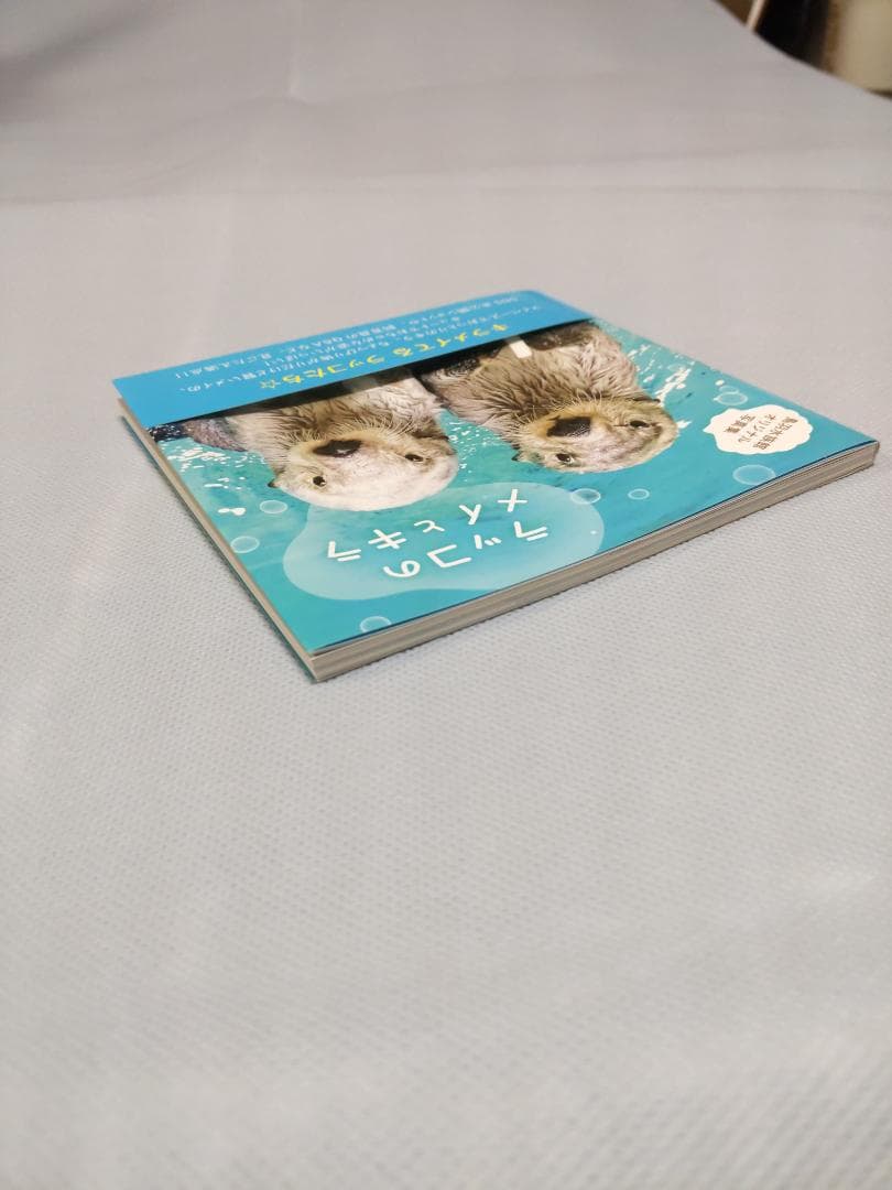 鳥羽水族館　ラッコのメイとキラ　写真集