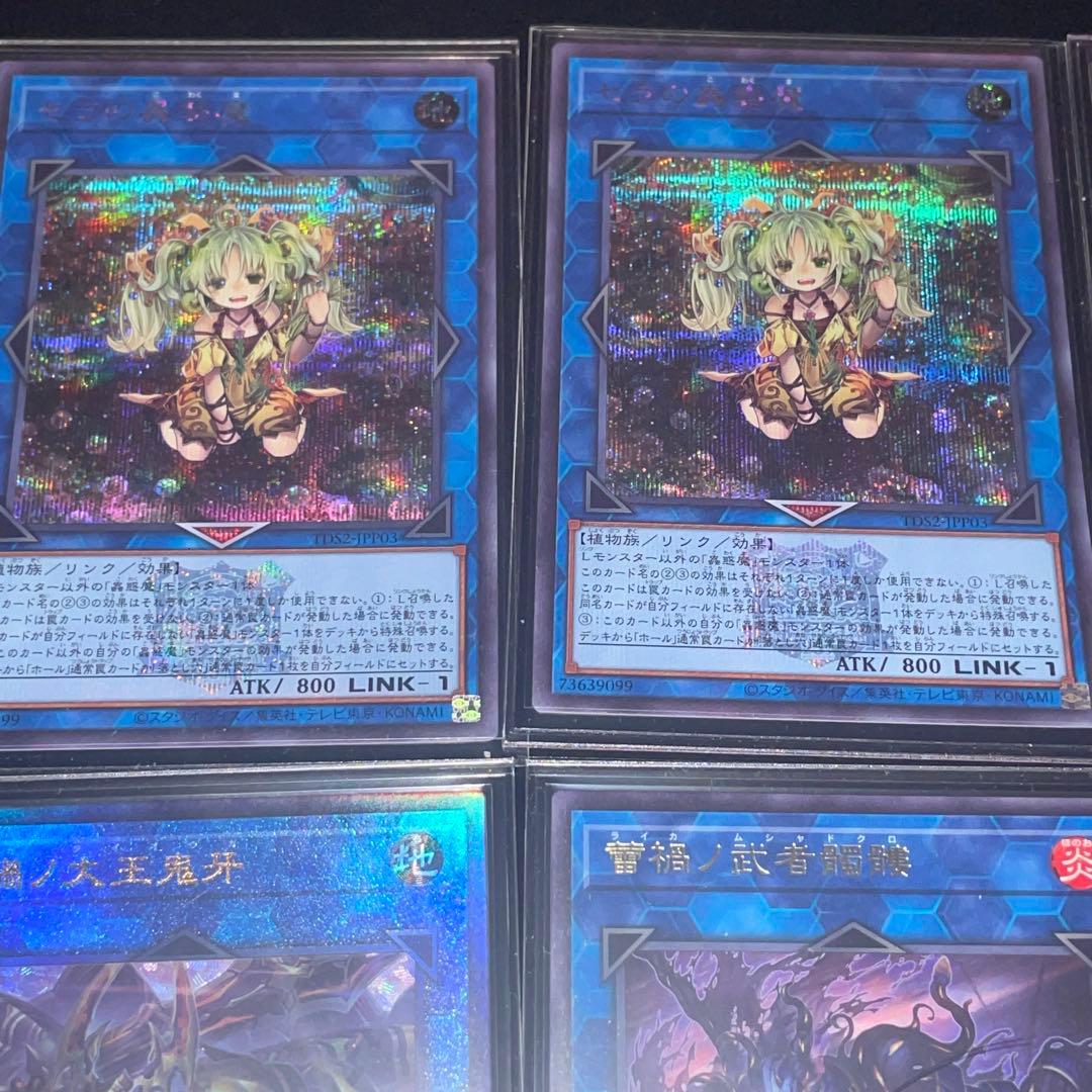 蕾禍蟲惑魔本格構築デッキ売り⭐︎決闘者伝説版⭐︎オマケ有