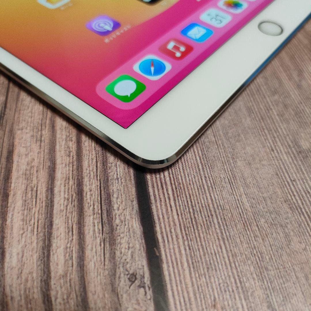 iPad Pro 10.5インチ 256GB シルバー 美品