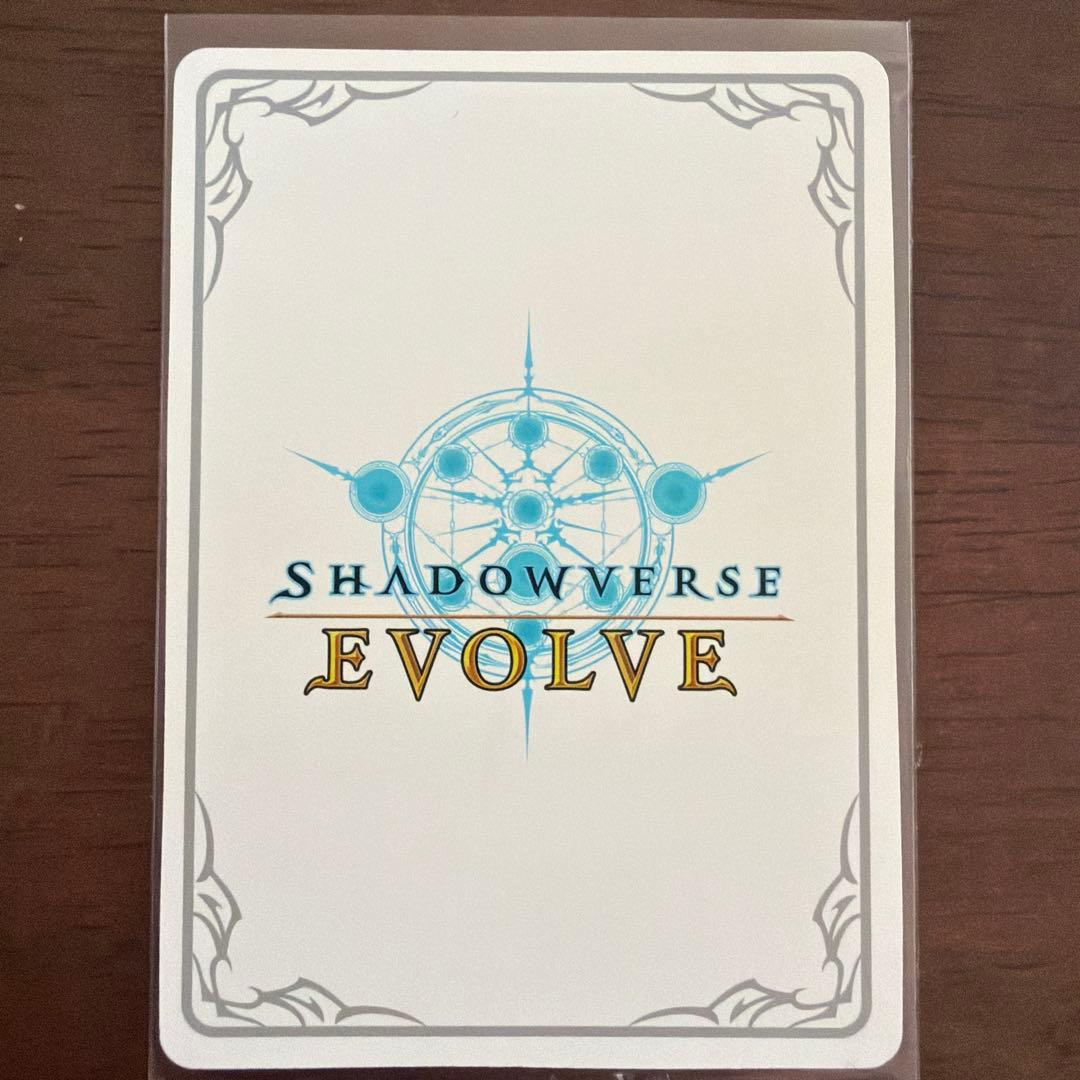 第七の絶傑・ヴァーナレク リーダー LD シャドウバースエボルヴ