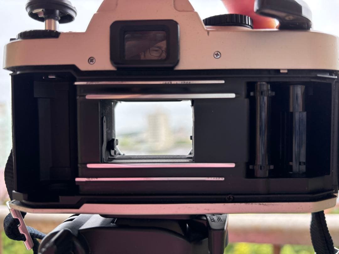 7日のみ限定価格カメラ女子Nikon FE10付属多中古完動品