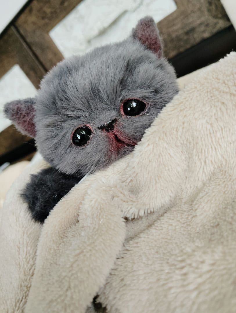 もち様オーダー❤子猫の黒豆ちゃん♡アートドール♡ぬいぐるみ♡