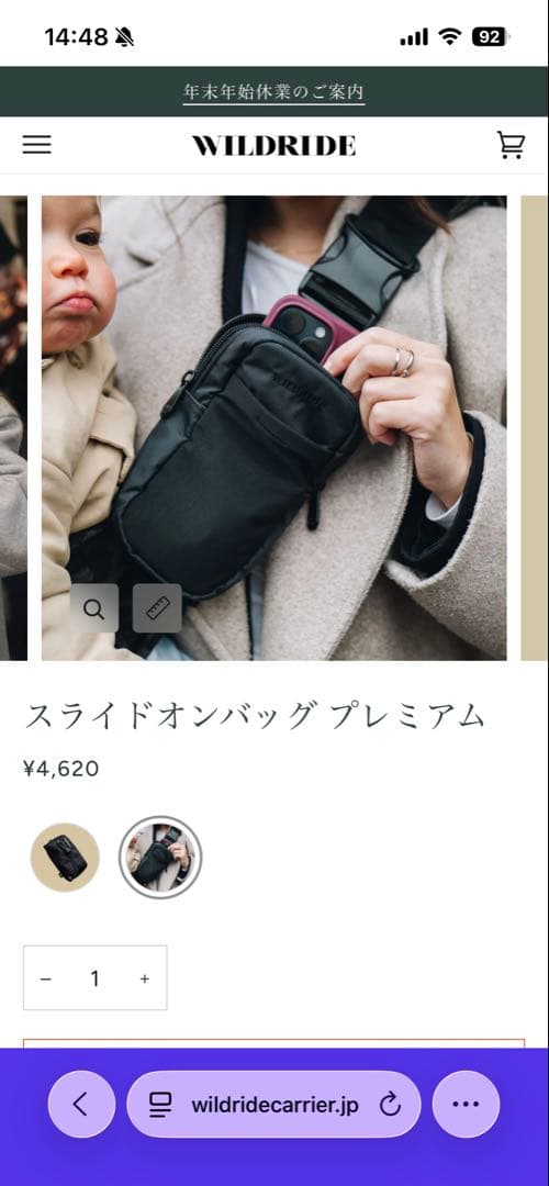 【美品】WILDRIDE アクティブキャリア:Iron