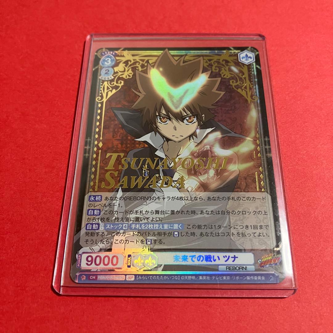 ヴァイスシュバルツブラウ　未来での戦い ツナ 沢田綱吉　sp リボーン