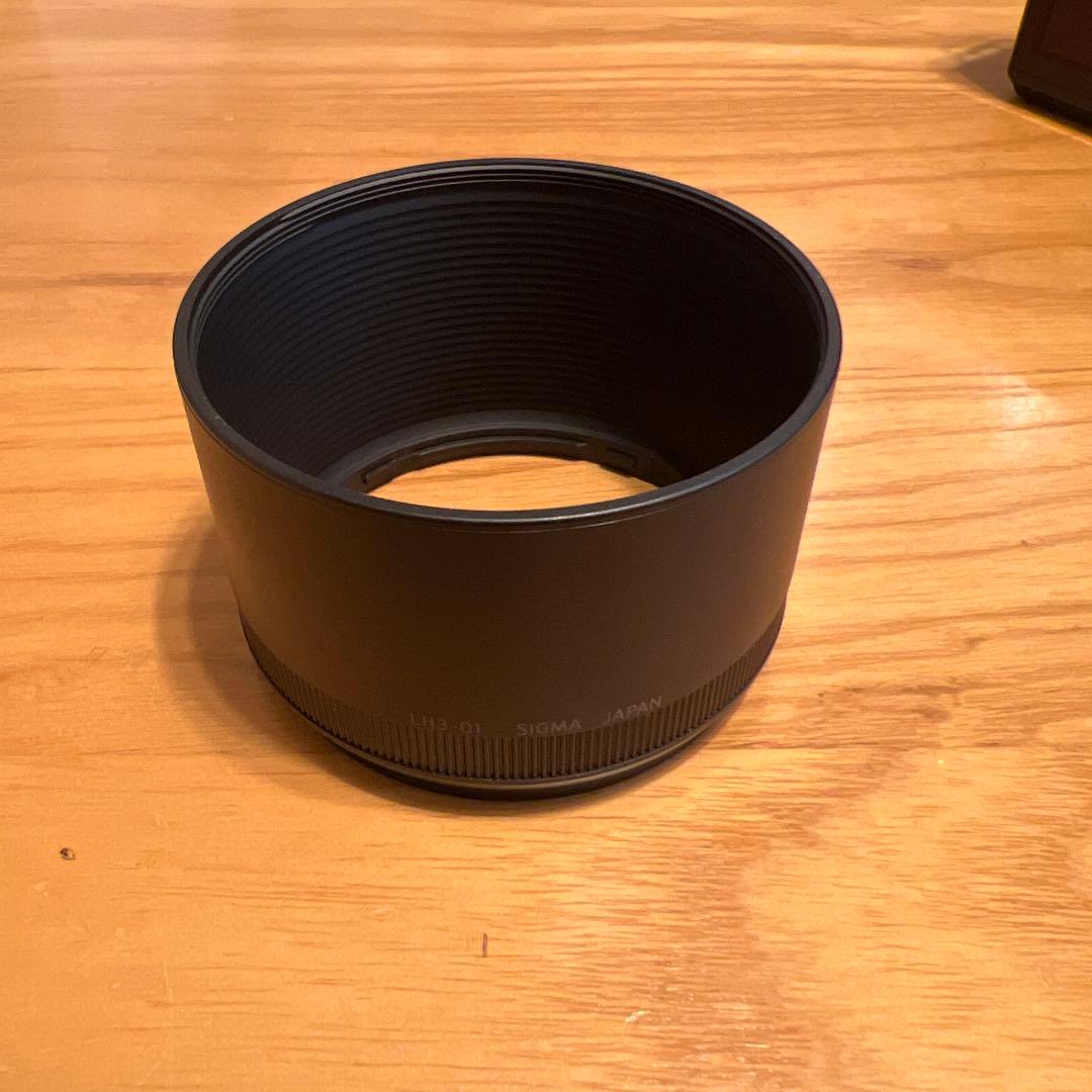 わ*ん様 【極上品】SIGMA DP3 Merrill シグマ