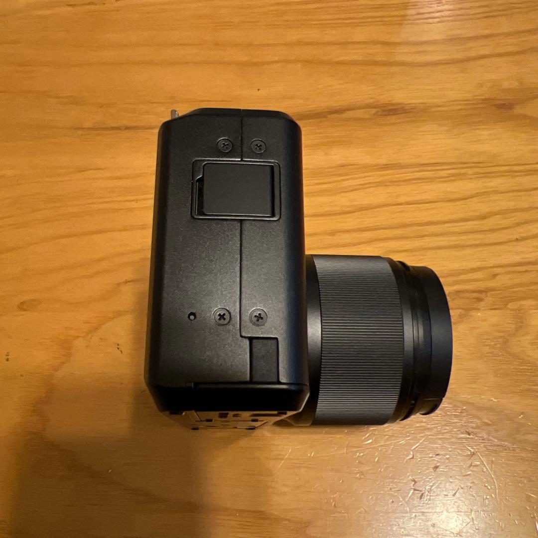 わ*ん様 【極上品】SIGMA DP3 Merrill シグマ