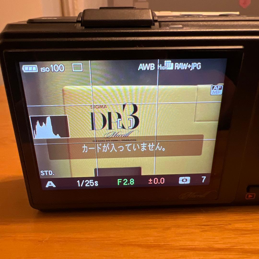 わ*ん様 【極上品】SIGMA DP3 Merrill シグマ