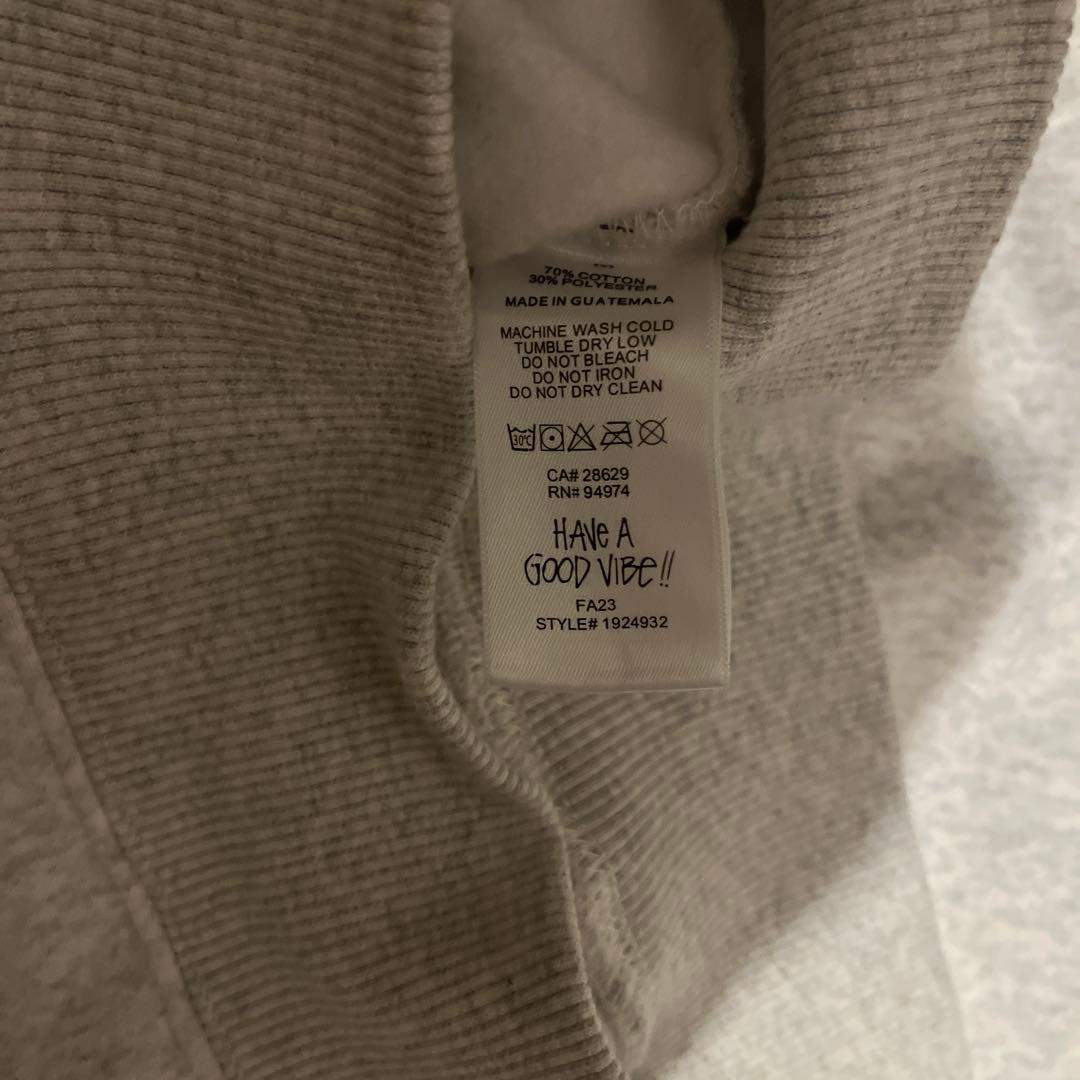 Stüssy Dizzy Stock Hoodie 23aw