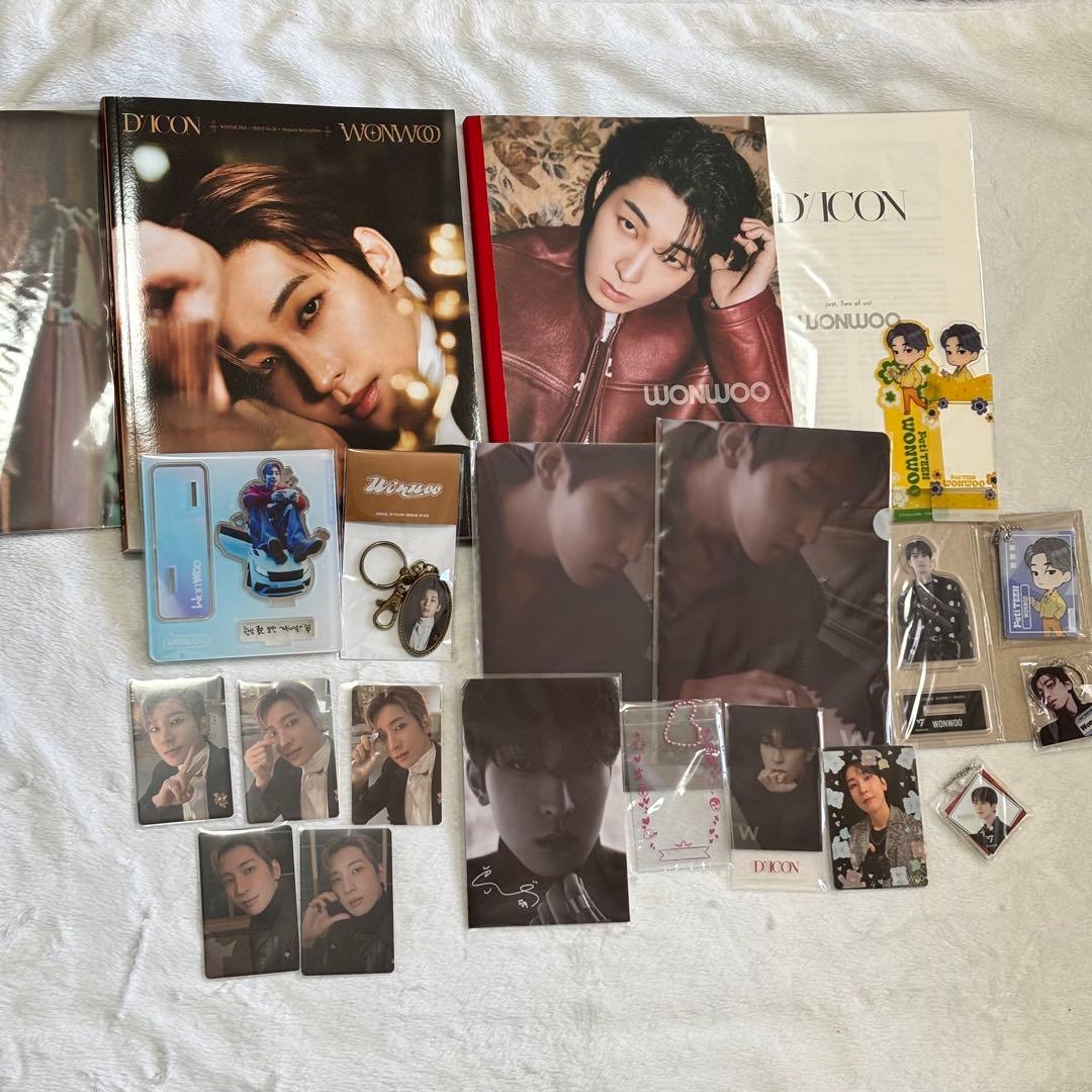 SEVENTEEN ウォヌ WONWOO トレカ グッズ まとめ売り