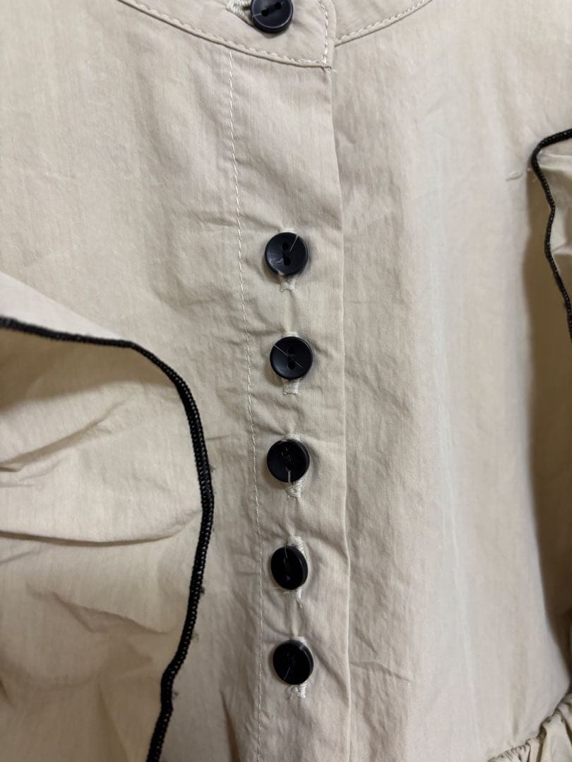 未使用　Eaphi FEELING FRILLS BLOUSE