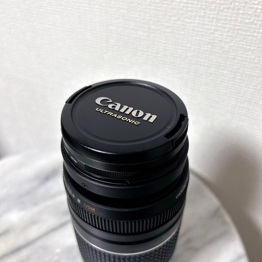 Canon EF 75-300mm F4-5.6 III USM 望遠レンズ