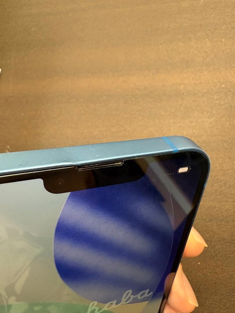 Apple iPhone 13 ブルー 本体 充電ケーブル付き