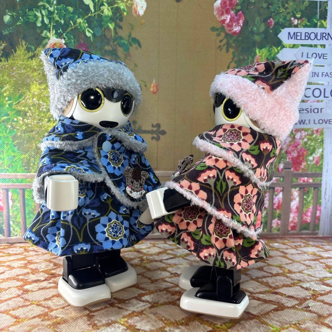 hasnページです ロボホン