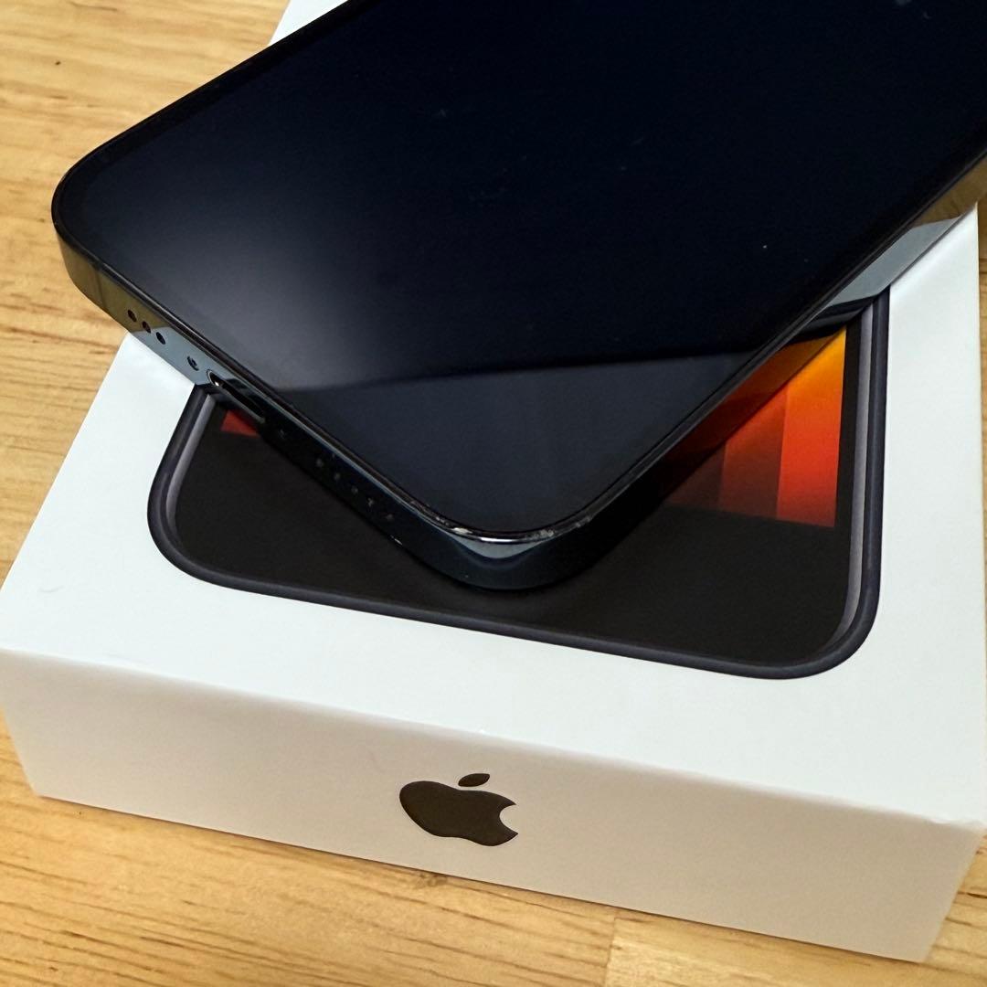 Apple iPhone 12pro 本体 充電ケーブル付き