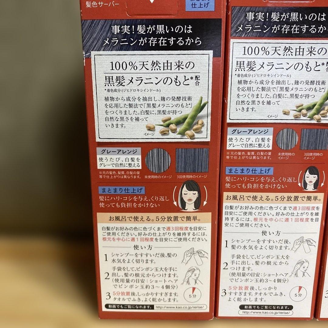 Rerise リライズ　白髪染め グレーアレンジ まとまり仕上げ