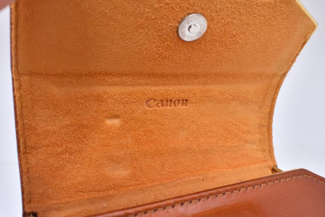 Canon IXY50S FULL HD動画