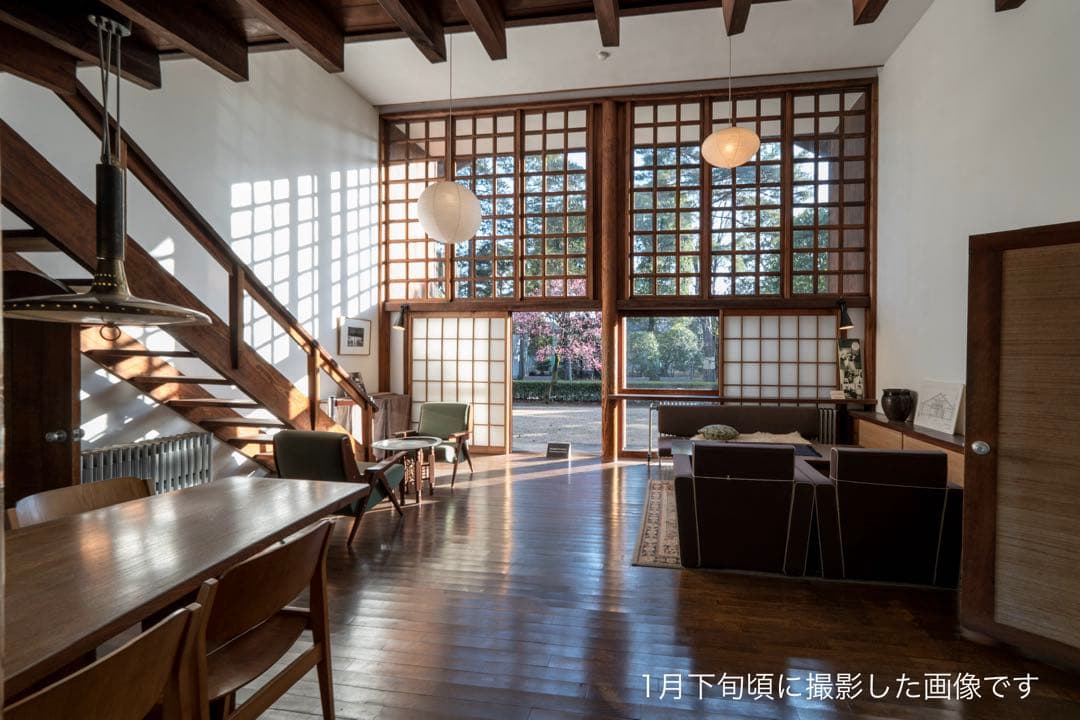 Nikon Z30+16-50 VR レンズキット 保証+純正フード+C-PL