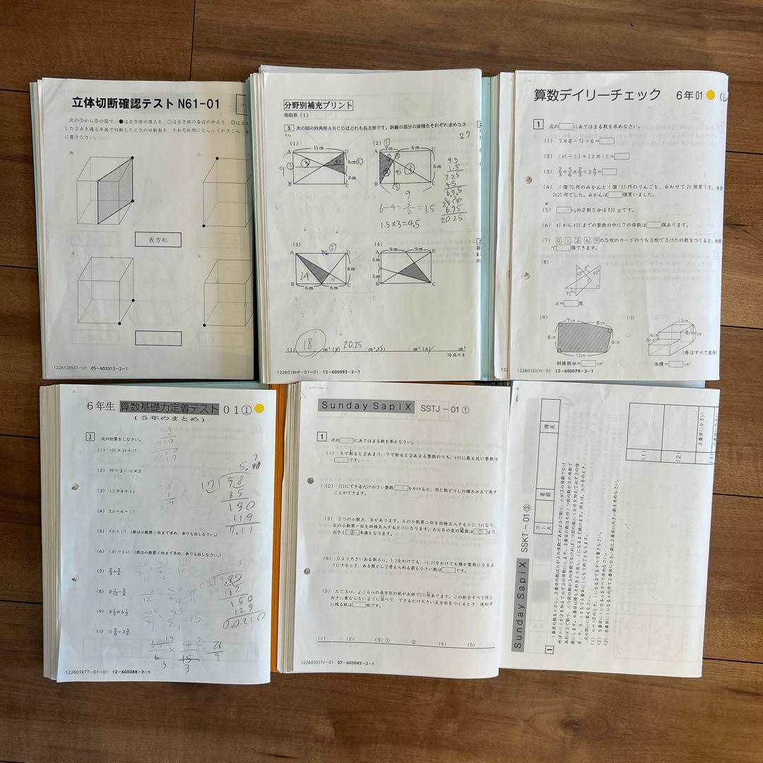 胡珺 ②サピックス6年教材4教科フルセット+大量プリント等