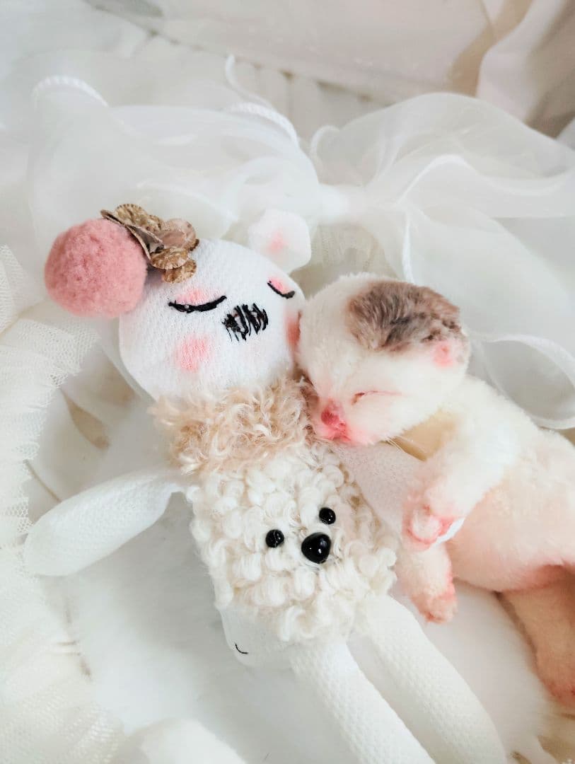 生後１日❤生まれたての子猫ちゃん♡バスケットとクマたん♡アートドール♡ぬいぐるみ